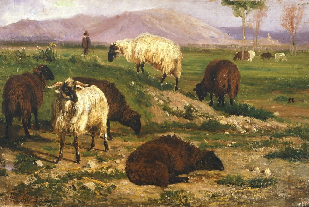 Animali al pascolo - Museo Civico, Palazzo d'Avalos, (CH)